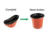 TRUEDAYS 6 Inch Plastic Flower Seedlings Nursery Supplies Planter Pot/pots Containers,40 Pack …