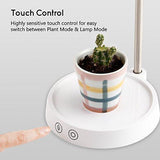 TORCHSTAR Plant Grow LED Light Kit, Indoor Herb Garden with Timer Function, 24V Low Voltage, Indoor Harvest Elite for Gourmet or Plant Enthusiasts, Rosemary, Lavender, Seed, Pod Ornamental Gift
