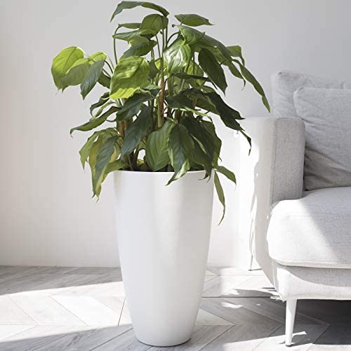 La Jolíe Muse Tall Planters Outdoor Indoor - Tree Planter 20 inch Modern White Flower Pots with Drainage Holes for Balcony Garden Patio Deck Resin Planters Pack 2