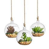 SunGrow 3 Hanging Glass Terrariums Spherical Air Plant Orb - Handmade, Heat-Resistant Glass - Create Refreshing Atmosphere in Terrace Garden - Rocks, Plants & Other Accessories NOT Included