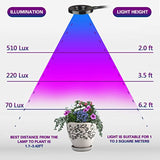 LED Grow Lights,10W Adjustable 6 Level Desk Plant Lamp with 360° Flexible Gooseneck Arms and Spring Clamp for Indoor Plants Hydroponic Greenhouse Gardening Plant