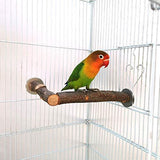 Vehomy Bird Perch Nature Wood Stand for Small Medium Parrots