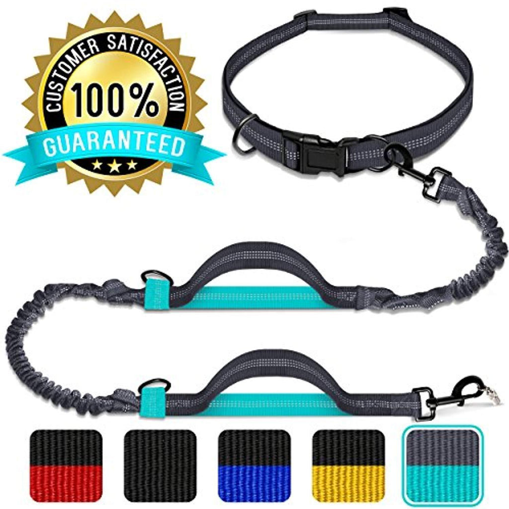 [Strong] Dog Leash with Bonus Free Waste Bag Dispenser – Thick Padded Dual Handles, Includes Poop Bags & 100% Nylon (6ft. Long) – Comfortable Grip – Ideal for Large, Medium and Small Dogs