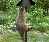 Squirrel Guard Baffle Protects Hanging Bird Feeders & Poles - Raccoon & Squirrel Proof Your Bird Feeders & Bird Houses - 17 inch