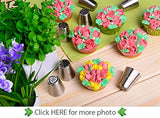 Baking supplies set 25 pcs - Russian piping tips newest patterns - big size 9 flower icing tips and 3 Malaysia pastry nozzles with accessories included in Cake decorating set