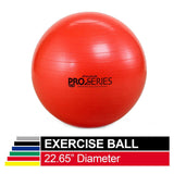 TheraBand Exercise Ball, Professional Series Stability Ball with 55 cm Diameter for Athletes 5'1
