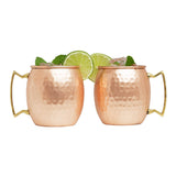 Kitchen Science Moscow Mule Copper Mugs 16 Ounce with 8 Straws and Jigger Set